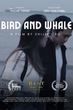Bird and Whale (2021)