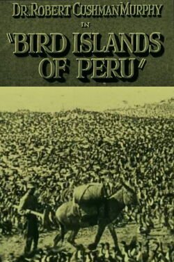 Bird Islands of Peru (1930)