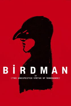 Birdman or (The Unexpected Virtue of Ignorance) (2014)