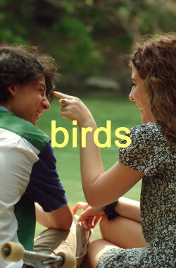 Birds (2021)
