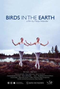 Birds in the Earth (2018)