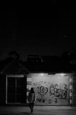 Birds sing at night (2024)