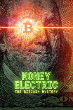 Bitcoin: Das Rätsel um die Kryptowährung (2024)