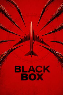 Black Box (Flight 298) (2026)
