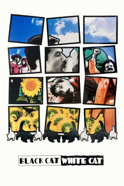 Black Cat, White Cat (1998)