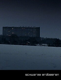 Black Strawberries (2005)