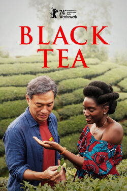 Black Tea (2024)