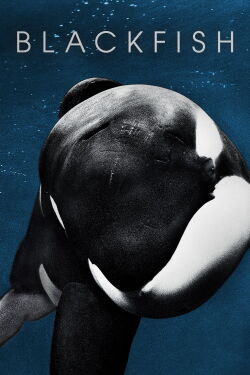 Blackfish: Der Killerwal (2013)