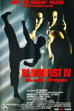 Bloodfist IV: Deadly Dragon (1992)
