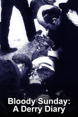 Bloody Sunday - A Derry Diary (2010)