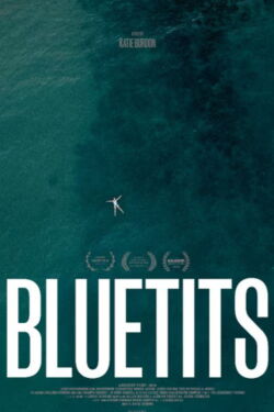 Bluetits (2023)