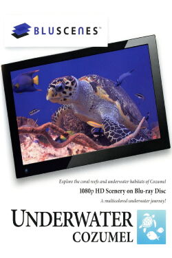 BluScenes: Underwater Cozumel (2010)