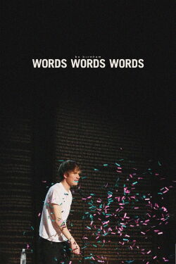 Bo Burnham: Words, Words, Words (2010)