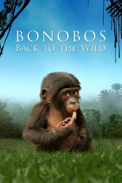 Bonobos: Back to the Wild (2011)