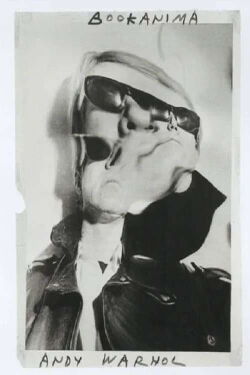 BOOKANIMA: Andy Warhol (2020)