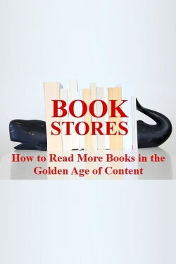 BOOKSTORES (2018)