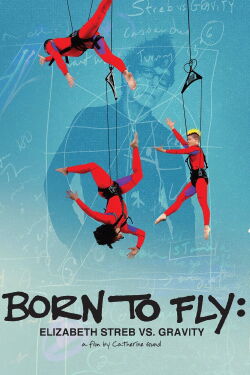 Born to Fly: Elizabeth Streb vs. Gravity (2014)