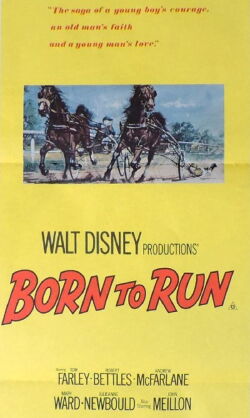 Born to Run (1977)