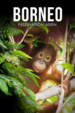 Borneo - Faszination Asien (2017)