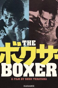Boxer (1977)