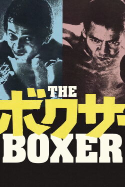 Boxer (1977)