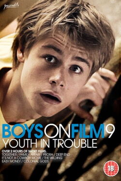 Boys on Film 9: Youth in Trouble (2013)