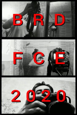 BRDFCE2020 (2020)