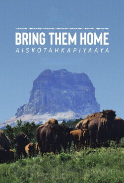 Bring Them Home (2024)