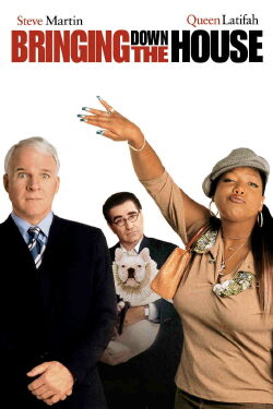 Bringing Down the House (2003)