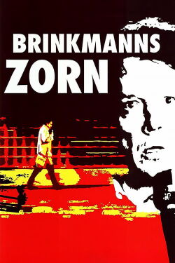 Brinkmanns Zorn (2007)