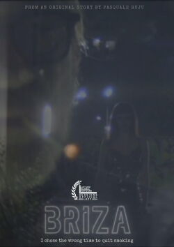 Briza (2025)