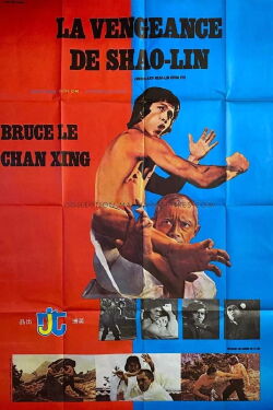 Bruce and Shaolin Kung Fu (1977)