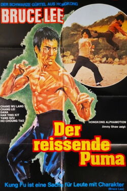 Bruce Lee - Der reißende Puma (1978)