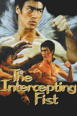 Bruce Lee - Die unschlagbare Faust (1998)