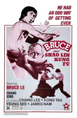 Bruce y el Kung-Fu Shaolin (1977)