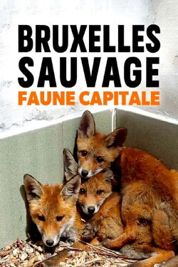 Brussels, the Wild Side (2015)