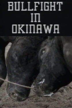 Bullfight in Okinawa (1994)