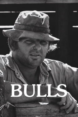 Bulls (2008)