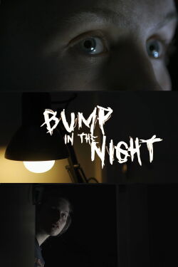 Bump In The Night (2022)