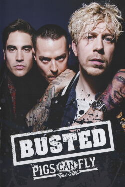 Busted: Pigs Can Fly Tour 2016 (2018)