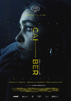 CAI - BER (2022)
