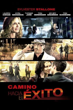 Camino hacia el éxito (2014)