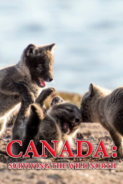 Canada: Surviving the Wild North (2022)
