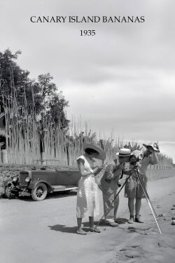 Canary Bananas (1935)