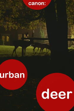 Canon: Urban Deer (2014)