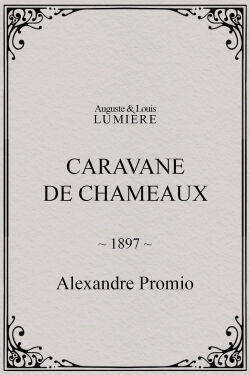 Caravane de chameaux (1897)