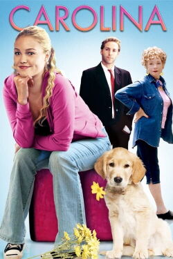 Carolina - Auf der Suche nach Mr. Perfect (2003)