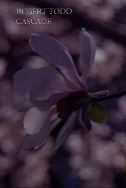 Cascade (2009)