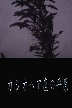 Cassiopeia Land (1996)
