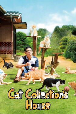 Cat Collection's House (2017)